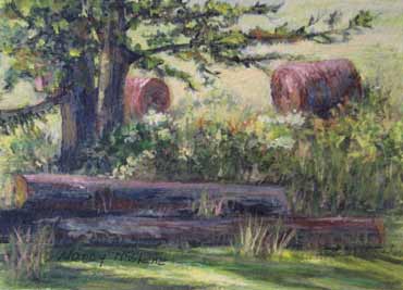 Hay bales on Bussey Hollow by Nancy McShane