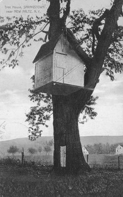 tree house postcard