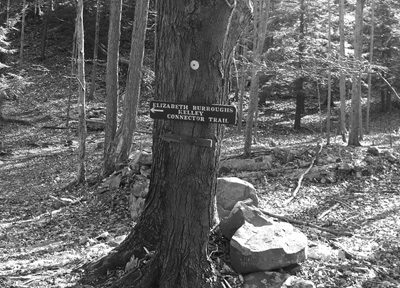 trail marker at Burroughs Sanctuary and Slabsides